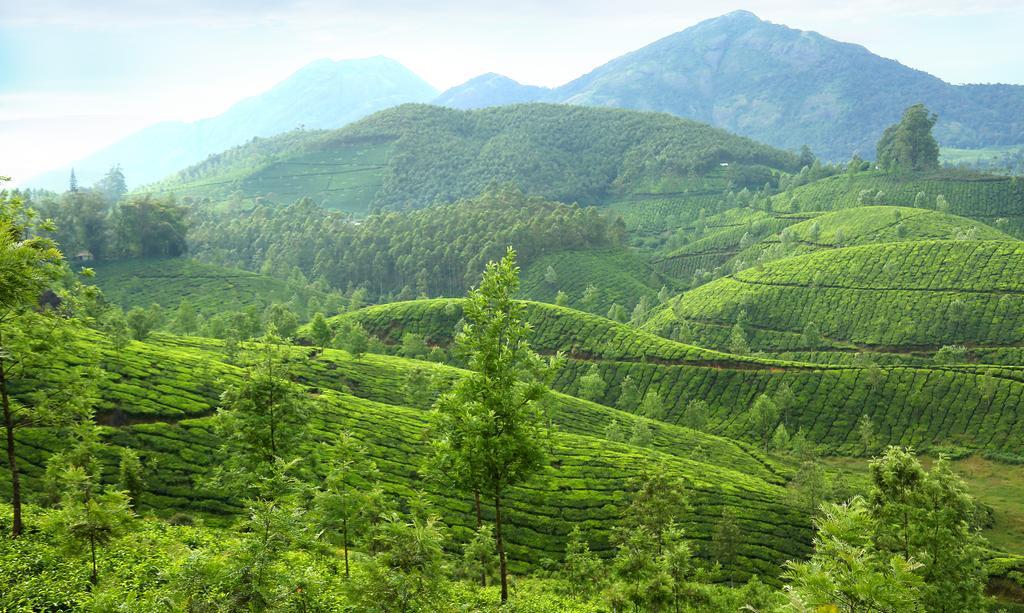 Hotel Elysium Garden Munnar Exteriér fotografie